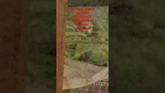Удобно ей в одеяле смотреть онлайн