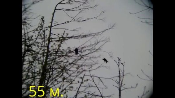 Хатсан 125 валем ворон