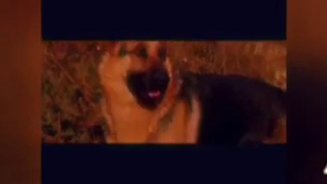 крошка из Беверли Хиллз клип целуешь прощаешь смотреть онлайн