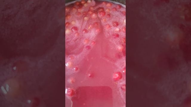 Сварили кисель, очень вкусный! Приобрели в м."Светофор"на 1л. воды -5 ст.л.с горкой киселя+Брусника смотреть онлайн