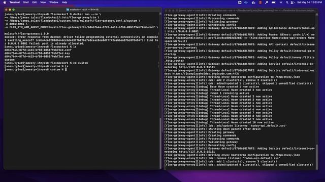 Introducing Flex Gateway | Friends of Max Demonstration смотреть онлайн