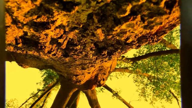 Enigma Sin Fin (Ft. Juan Diego Arias) смотреть онлайн