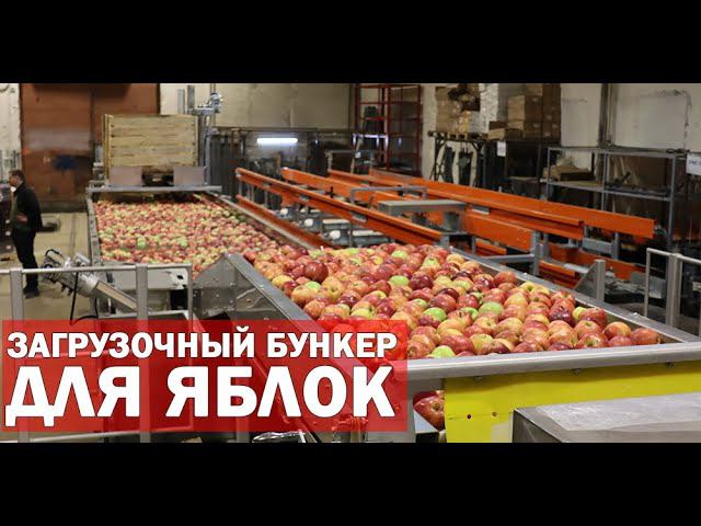 Выгрузка яблок (видео) смотреть онлайн