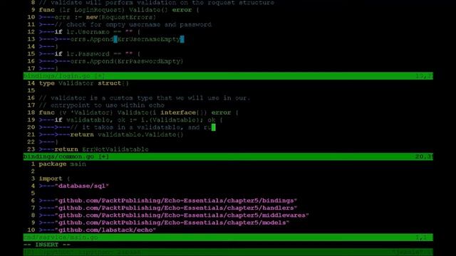 Echo Quick Start Guide | 5.Utilizing the Request Context and Data Bindings смотреть онлайн