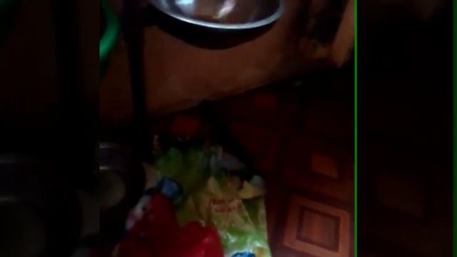 Играю с Персиком в пумпончик смотреть онлайн