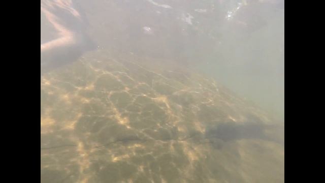 Экскурсия по Гоа за 1 день смотреть онлайн