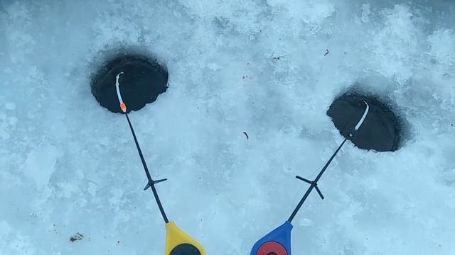 Рыбалка на карася! Озеро Яровое! смотреть онлайн