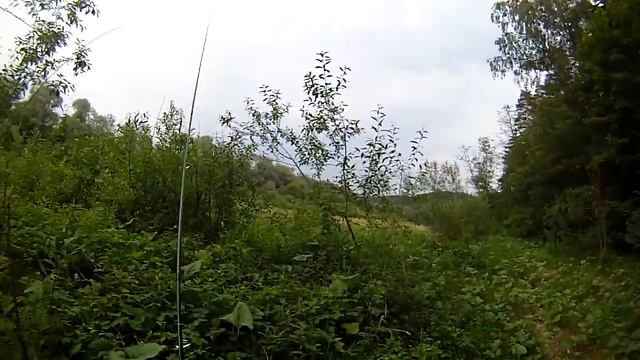 Выбор удилища и приманок для похода .што выбираю я и почему. смотреть онлайн