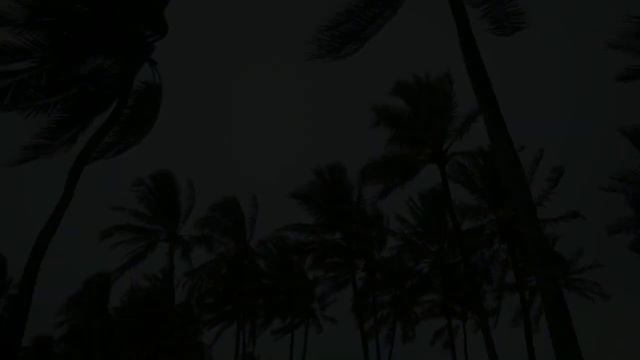 Relax Music With Nature Sounds | Relaxing | Deep Sleep | Calming