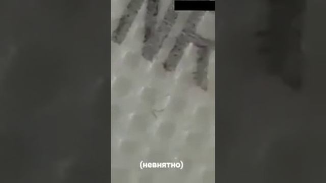 Шок!!!! Моргеллоны в масках!!! Распростроняем это видел. смотреть онлайн