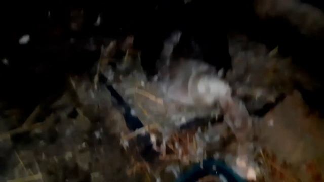 Бройлеры#Росс 308#Венгрия? ?оплод?Гуси породы чистокровные#Холмогоры и маленьких#гусята? смотреть онлайн