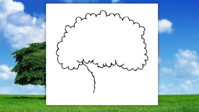 Ładne drzewo - Jak narysować drzewo - Rysowanie dla dzieci krok po kroku смотреть онлайн