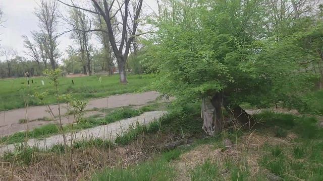 Депресняк и тоска зелёная. смотреть онлайн