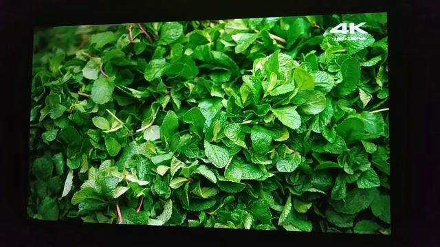 FullHD DLP проектор Optoma HD8000-LV смотреть онлайн