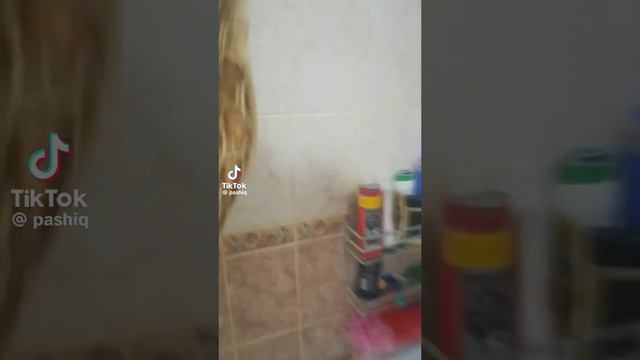 няпал патан🥵🥵🤣😔