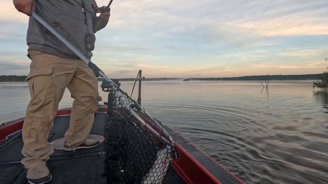 Top Water Bass смотреть онлайн