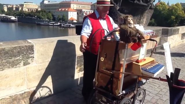 Настоящая шарманка смотреть онлайн