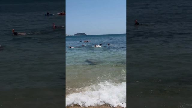 148 Впервые искупался в Индийском океане! Остался неоткрытым еще один океан смотреть онлайн