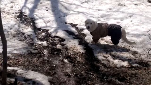 Первая весна. Нике 7 месяцев смотреть онлайн
