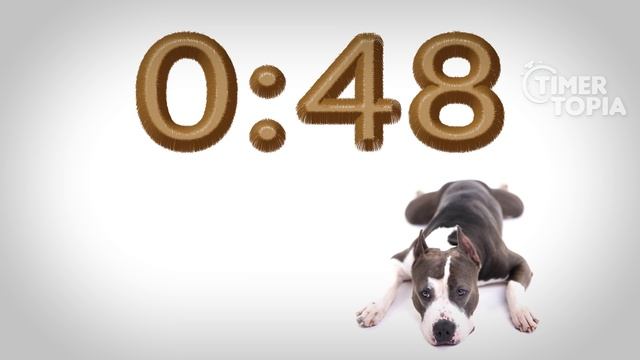 2 Minute Timer (DOG HEAVEN) ? смотреть онлайн