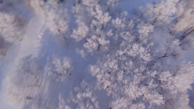 Новокуйбышевск. Парк Дубки им. Генерала ВДВ Алексея Яковлева.