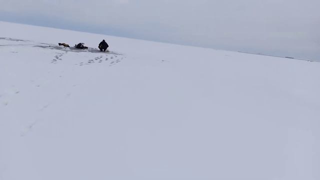 Столько рыбы я ещё не ловил,лучшая рыбалка!