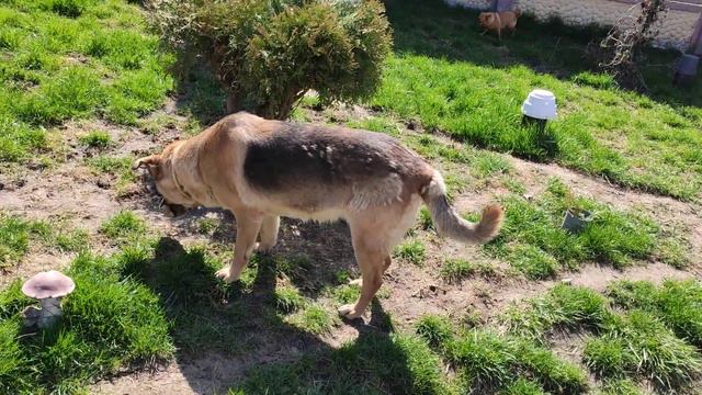 Славянск. 10 апреля 2023 года. смотреть онлайн