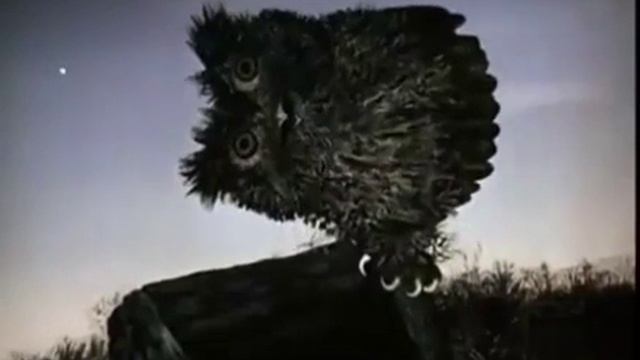 Ежик в тумане + Волк. Немного упоротости. смотреть онлайн