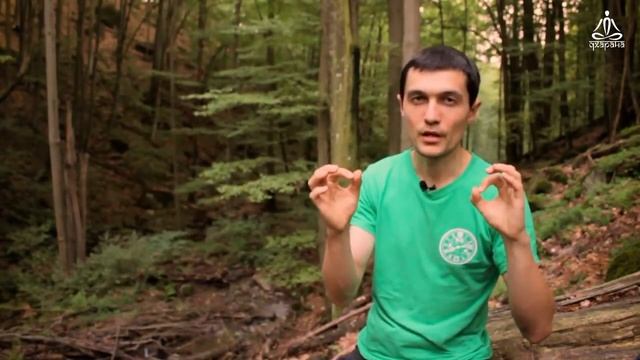 Йога онлайн Андрея Дроботина смотреть онлайн