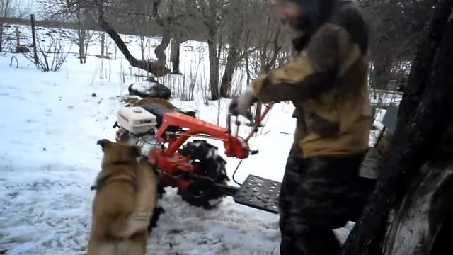 Вывоз прошлогоднего сена со двора. смотреть онлайн