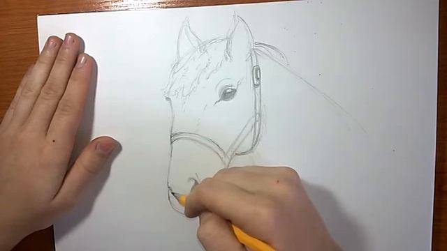 Как нарисовать лошадь карандашом поэтапно смотреть онлайн