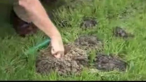 Ультразвуковой отпугиватель кротов, змей и насекомых Weitech WK675