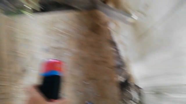 что дать ушастым чтобы не было скучно | Лучшие балделки для кроликов смотреть онлайн