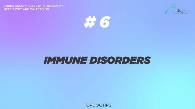 Found Crusty Scabs on Dog’s Back? Here’s Why and What to Do смотреть онлайн