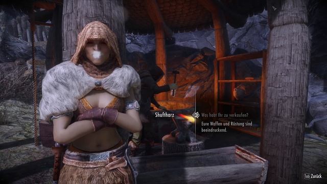 SKYRIM 2020 ? 205: Trautes Heim, Glück Allein смотреть онлайн