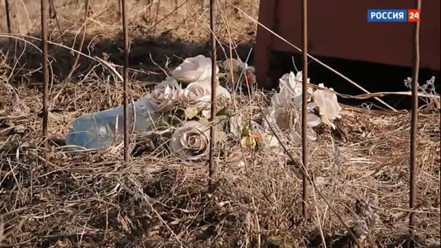 голод 2021.mp4 смотреть онлайн