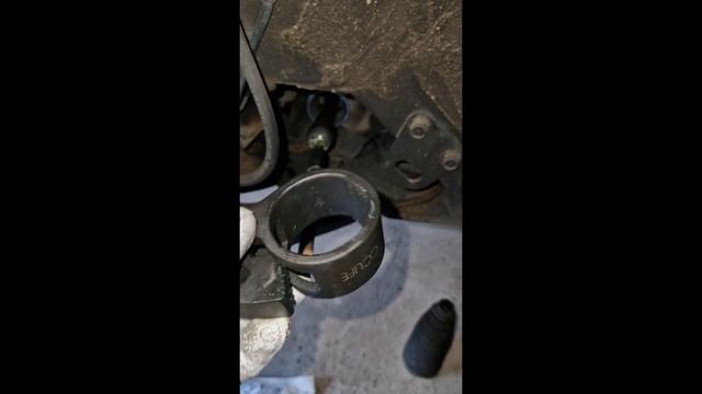 Квартирные проекты: идеи и вдохновение