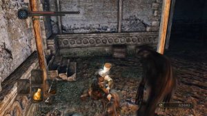 dark souls 2 scholar of the first sin Часть 25 Забытая Крепость