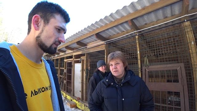 Помогаем приюту для собак "Верность" смотреть онлайн