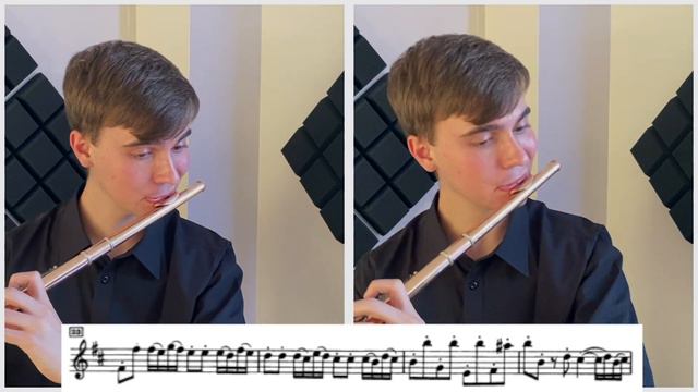 Telemann: Canonic Sonata No. 2 in D Major for 2 Flutes смотреть онлайн