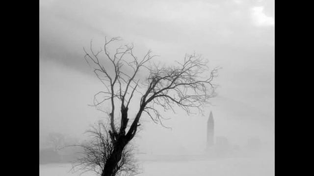 ХРУСТАЛЬНЫЕ ЦВЕТЫ сл. И.Железняка муз. В.Маркова смотреть онлайн