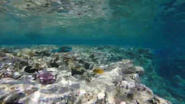 Красное море смотреть онлайн