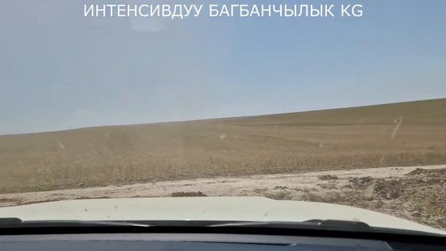 Баткен ЖАШЫЛ ЧЕК-АРА 100 га Интенсивдуу бак , Улан ажы Нарматов под ключ 2 часть смотреть онлайн
