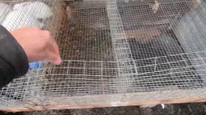 Клетка для кроликов, своими руками, из сетки