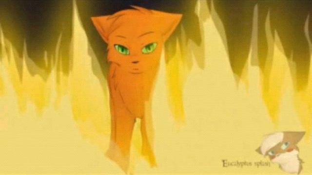 Песня Коты воители стань диким! смотреть онлайн