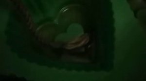 Фитиль для фитильного полива как подобрать шнур веревку