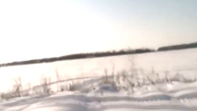 SLeDHeaDDude800.net смотреть онлайн