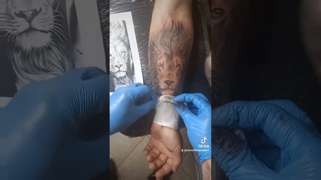 #tattoo #lion #tattoolion смотреть онлайн