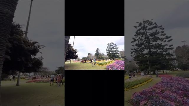 Toowoomba Australia, Floral Festival 2021 смотреть онлайн