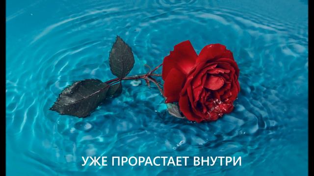 Буктейлер для книги 